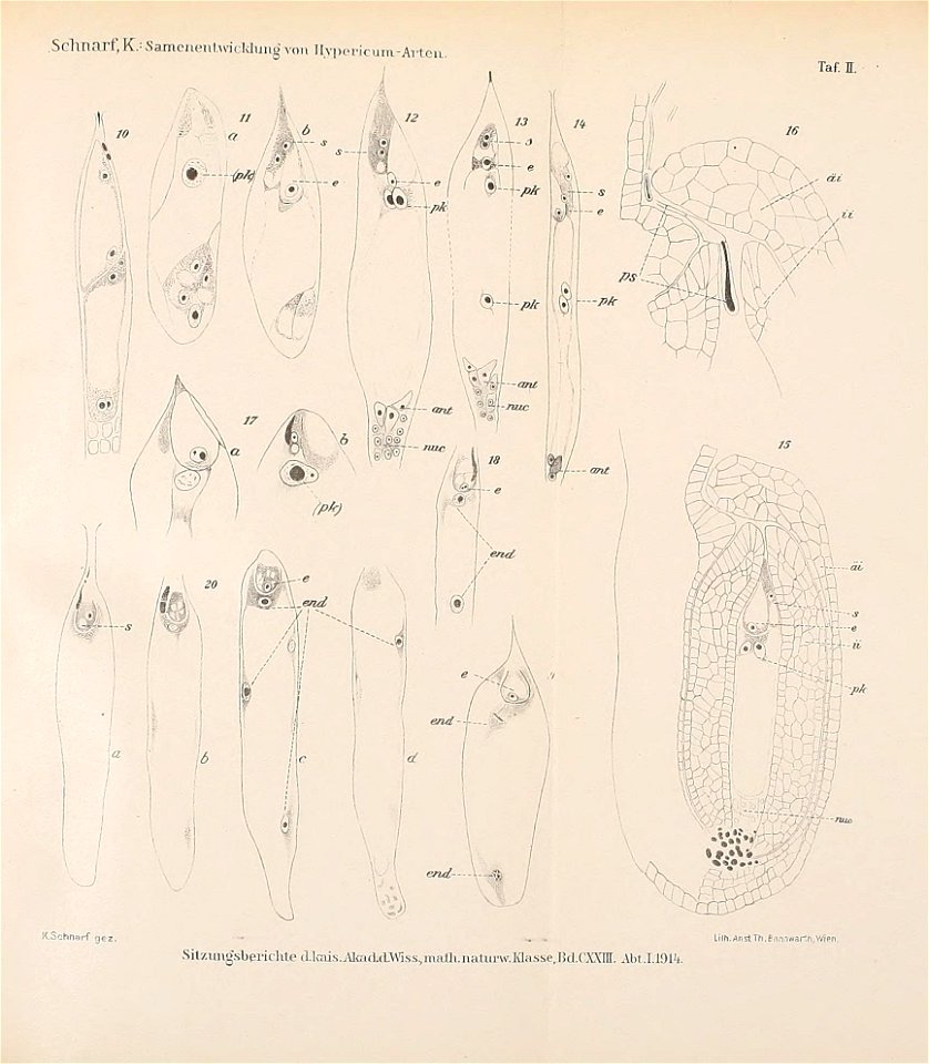 n214_w1150