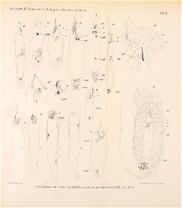 n214_w1150