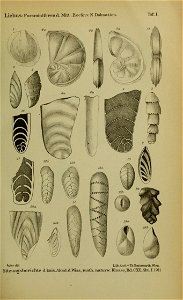 n1056_w1150