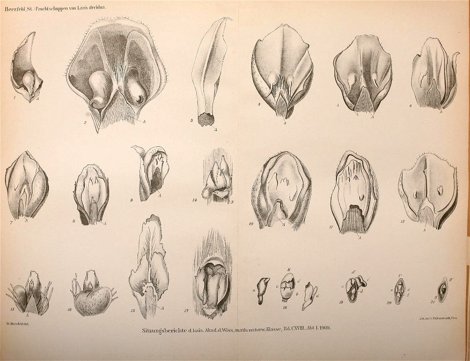 n1514_w1150