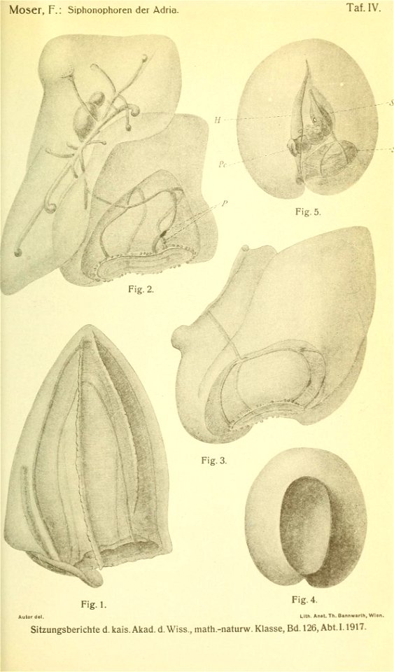 n828_w1150