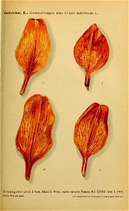 n1352_w1150