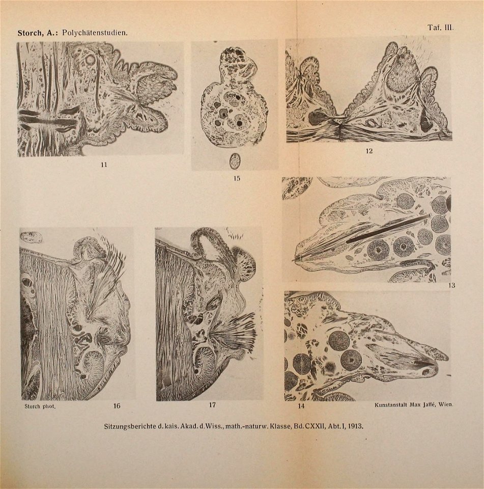 n1132_w1150