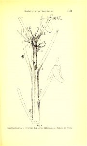 n758_w1150