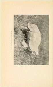 n47_w1150
