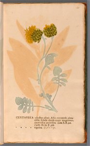 n56_w1150