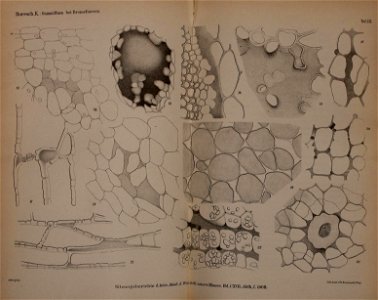 n1230_w1150