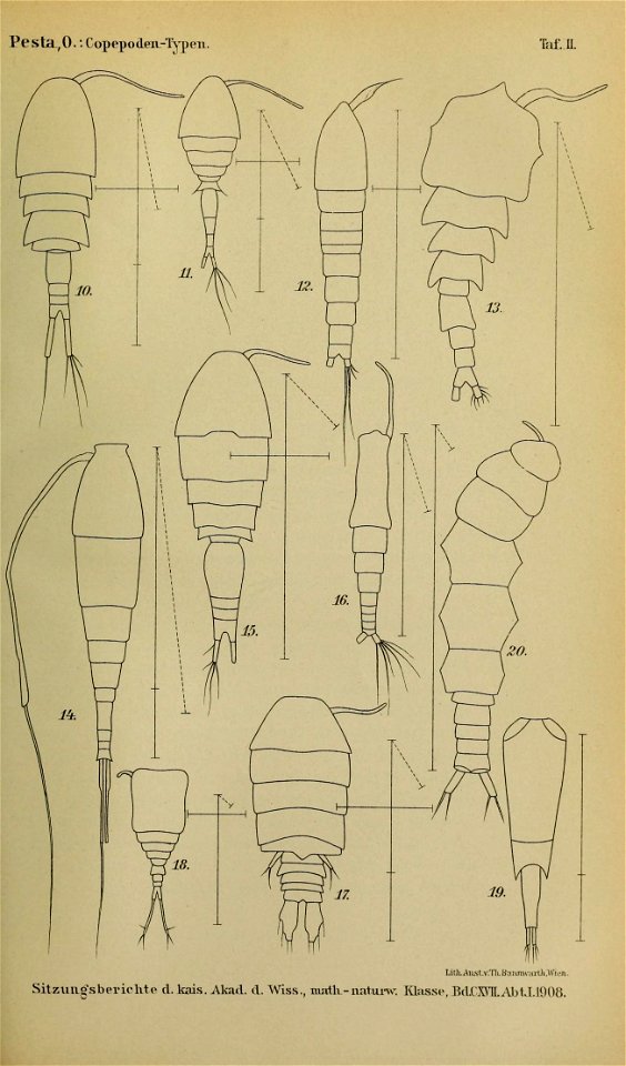 n676_w1150
