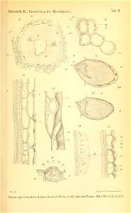 n1110_w1150