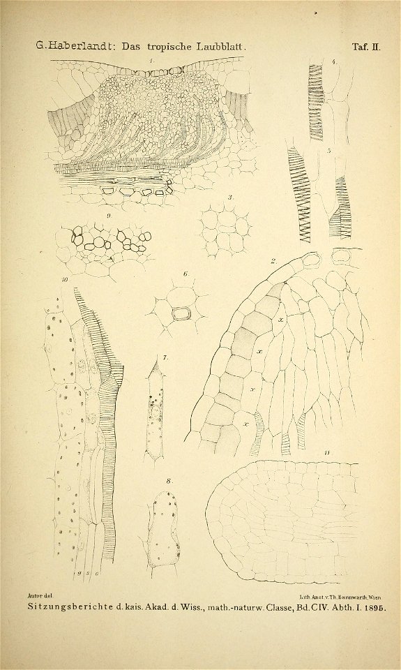 n136_w1150