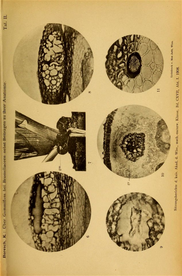 n1224_w1150