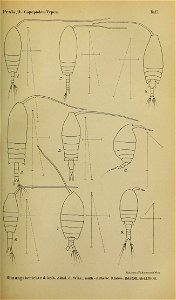 n674_w1150