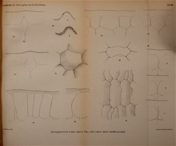 n236_w1150