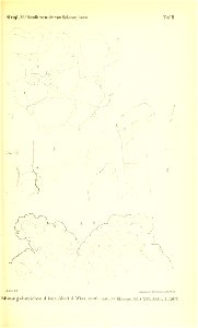 n234_w1150