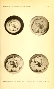n1524_w1150