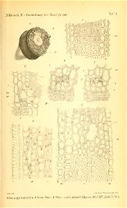 n1108_w1150