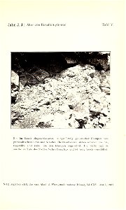 n1074_w1150