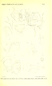n232_w1150
