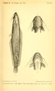 n1334_w1150