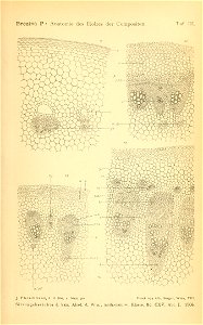 n476_w1150