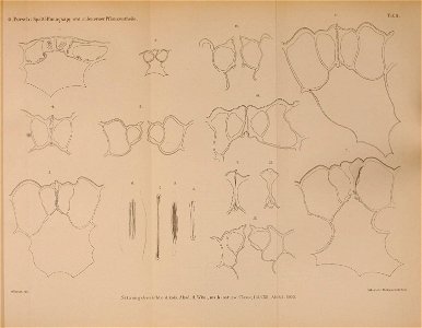 n176_w1150