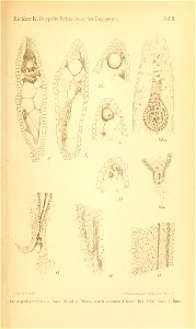 n998_w1150