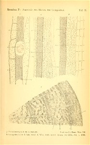 n474_w1150