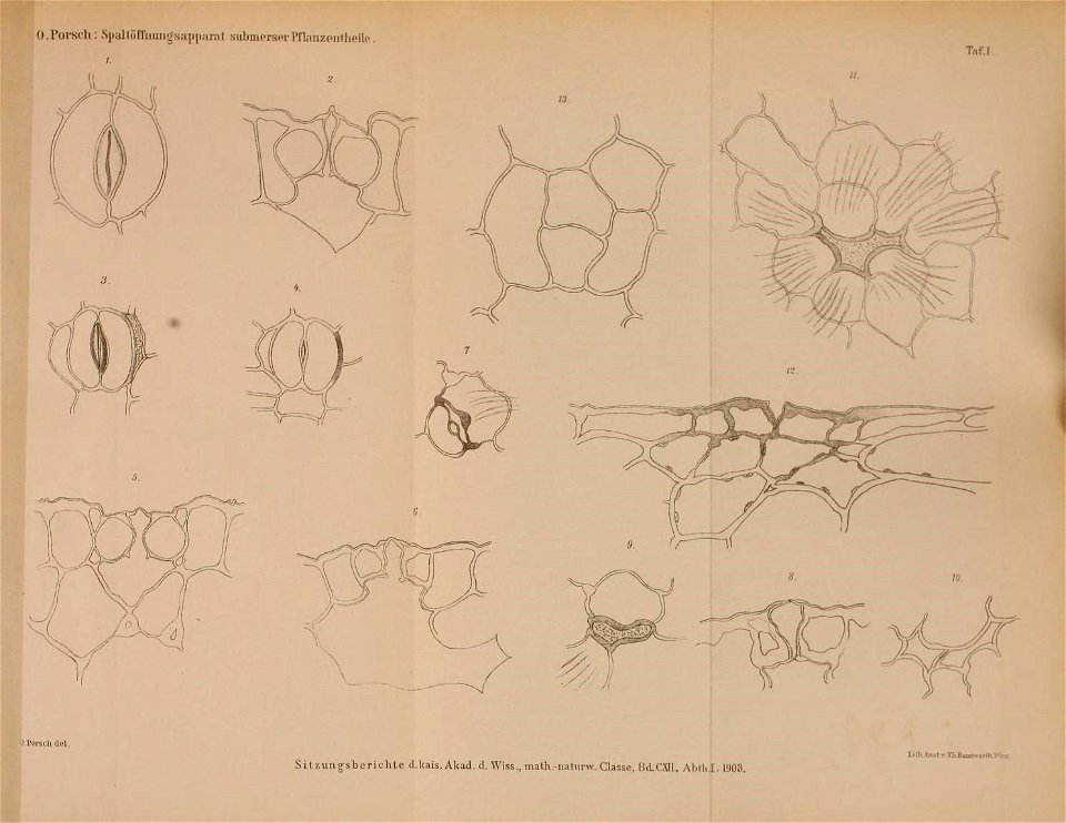 n172_w1150