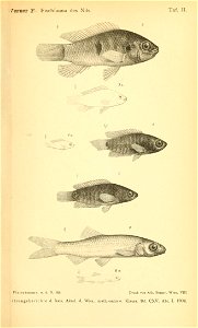 n1330_w1150