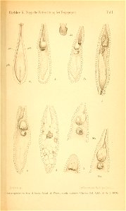 n996_w1150