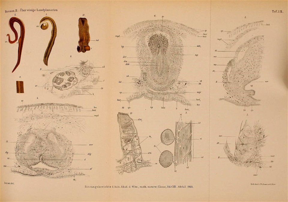 n502_w1150