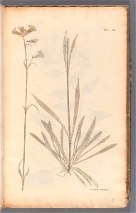 n402_w1150