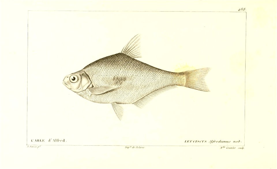 n304_w1150
