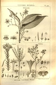 n173_w1150