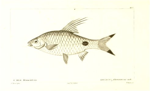 n312_w1150