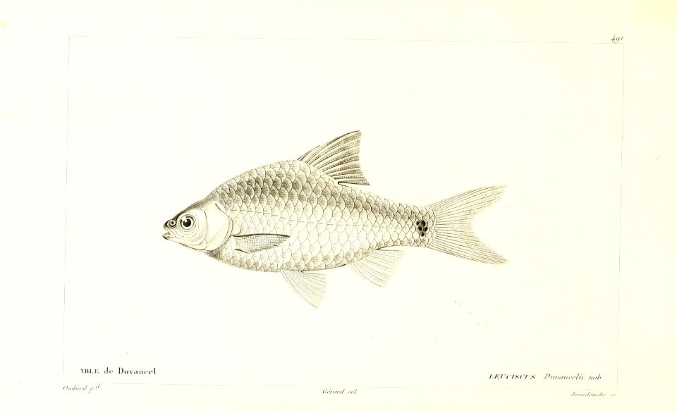 n310_w1150