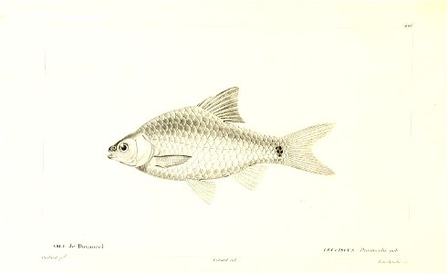 n310_w1150
