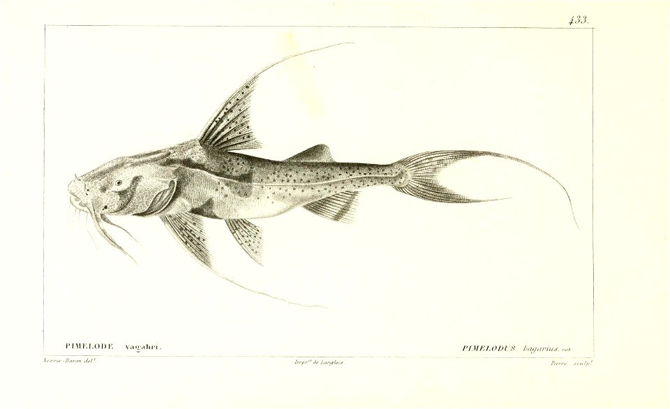 n196_w1150