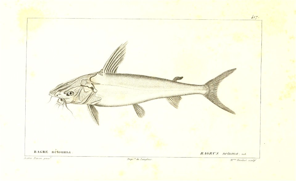 n166_w1150