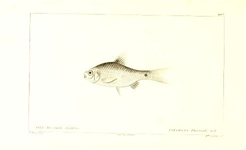 n308_w1150