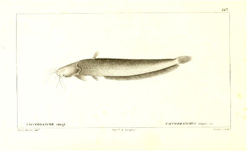n222_w1150