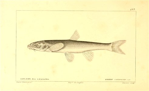 n292_w1150