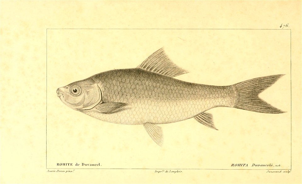 n278_w1150