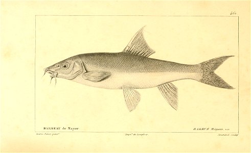 n248_w1150