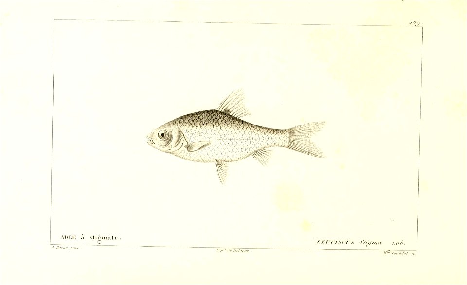 n306_w1150