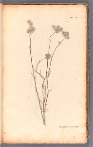 n392_w1150