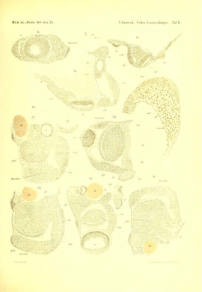 n1026_w1150