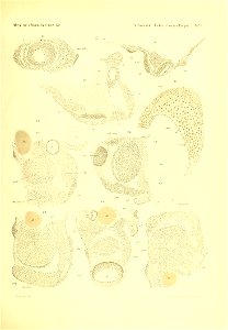 n1026_w1150
