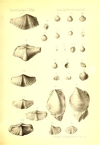 n34_w1150