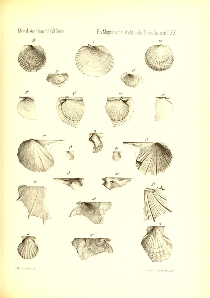 n846_w1150